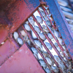 TDP_-0319_web