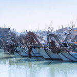 TDP_-0339_web